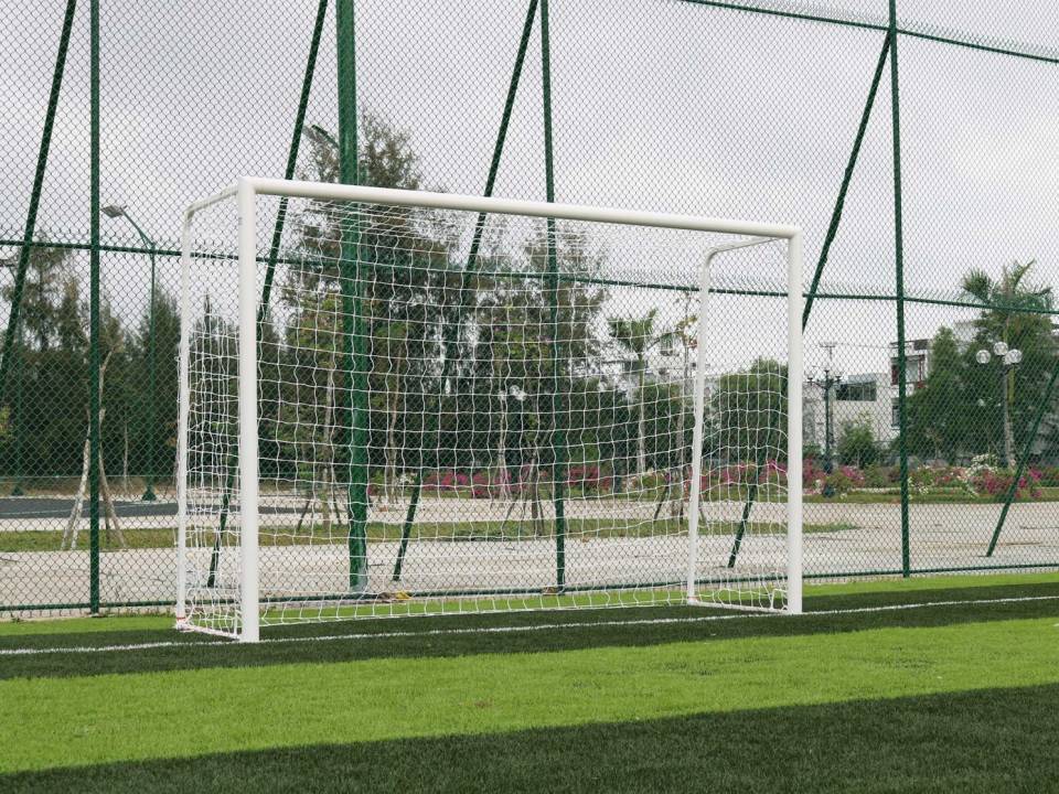 Мільйон гривень на траву: міська влада Лозової оголосила тендер 1