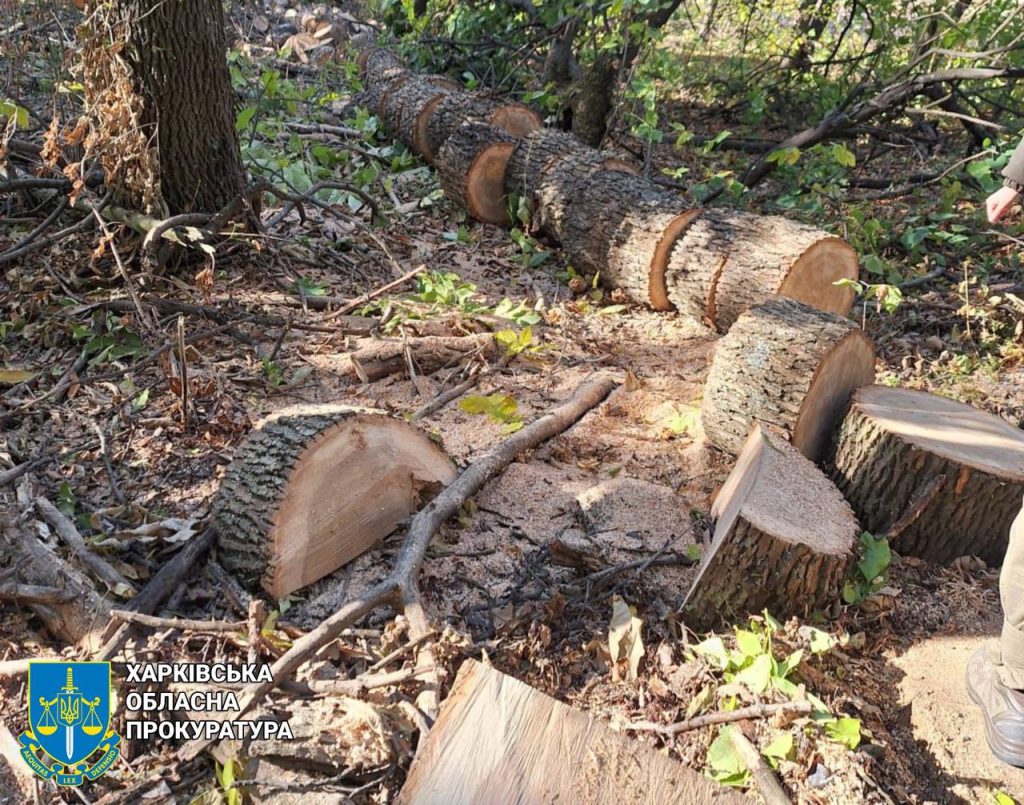 На Харківщині викрили незаконну вирубку дерев На Харківщині викрили незаконну вирубку дерев