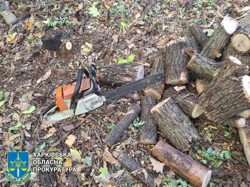 На Харківщині викрили незаконну вирубку дерев На Харківщині викрили незаконну вирубку дерев