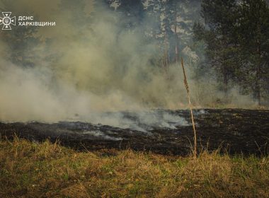 Лісова пожежа на Харківщині, горить хвойна підстилка