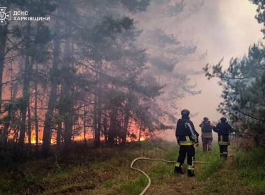 Пожежа в Чугуївському районі, 21 га займання