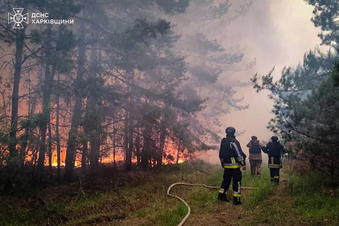 Пожежа в Чугуївському районі, 21 га займання