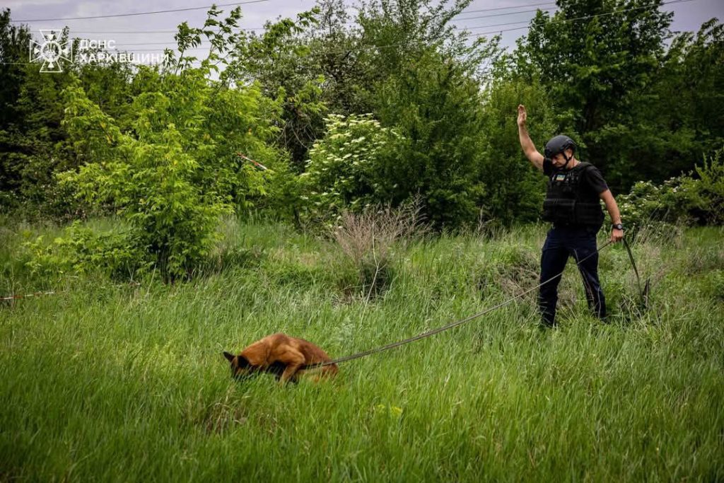 Собаки-рятувальники ДСНС розміновують Харківщину Собаки-рятувальники ДСНС розміновують Харківщину