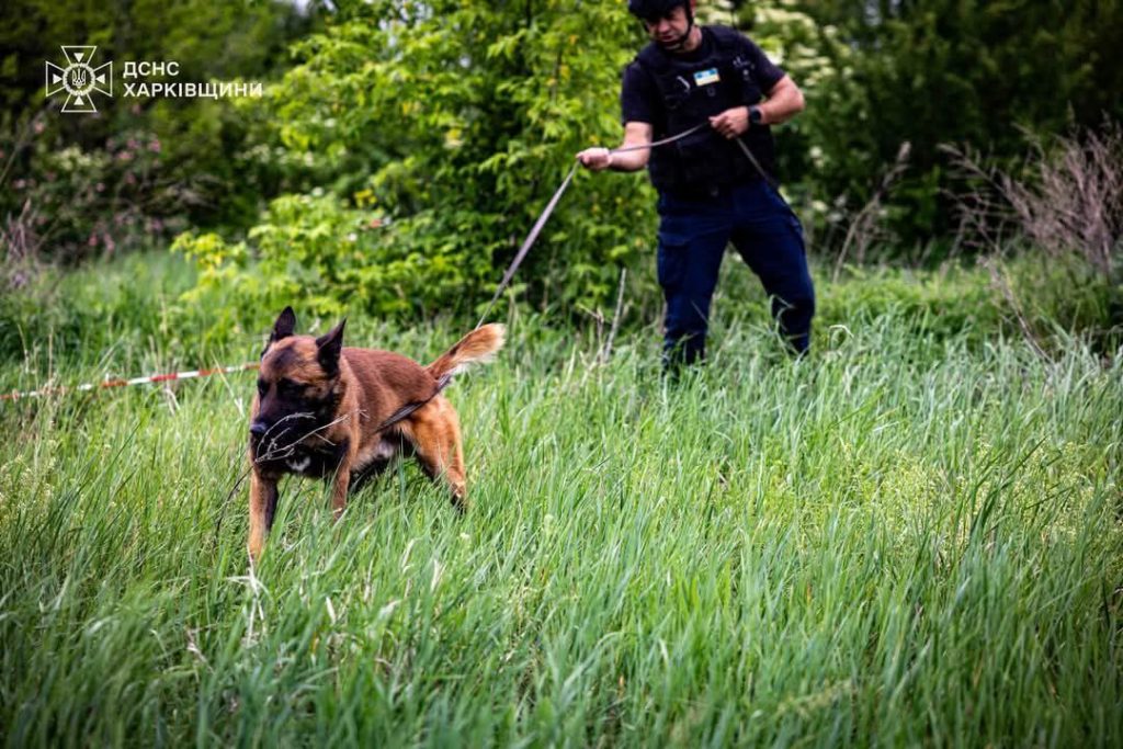 Собаки-рятувальники ДСНС розміновують Харківщину Собаки-рятувальники ДСНС розміновують Харківщину