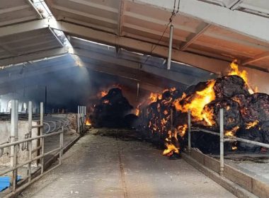 Наслідки обстрілу в селі Підлиман. Олег Синєгубов