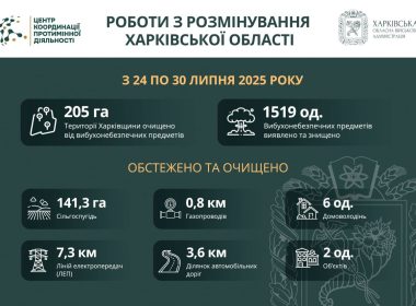 Таблиця кількість розмінувань
