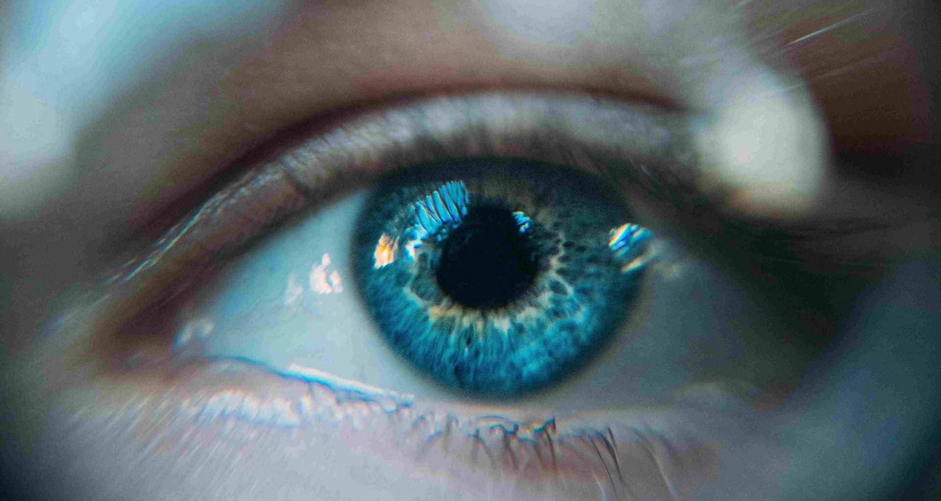 Ion Fet. Unsplash.com