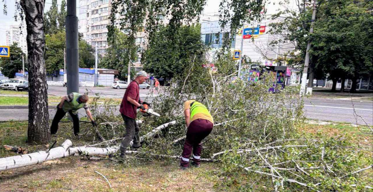 Комунальники ліквідовують наслідки негоди у Харкові Фото: Харківська міськрада