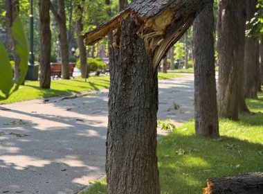 Фото: БО «Координаційний гуманітарний центр»
