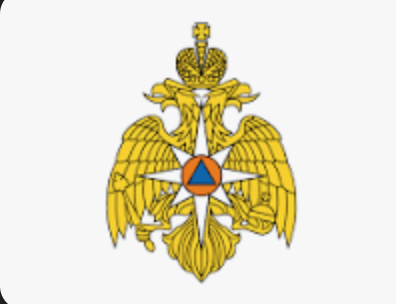 Збільшене фото нарукавних знаків рятувальників з фейкової новини з гербом МНС Росії. Скрин: 1654/Харків

