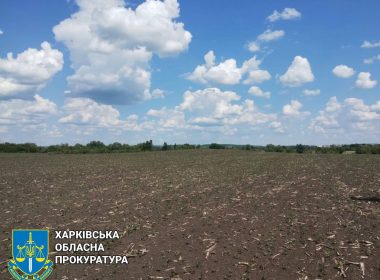 Курган