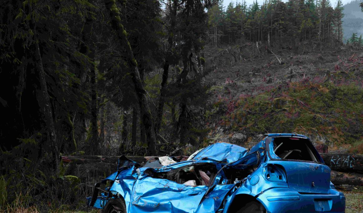 Izzy E. Unsplash.com