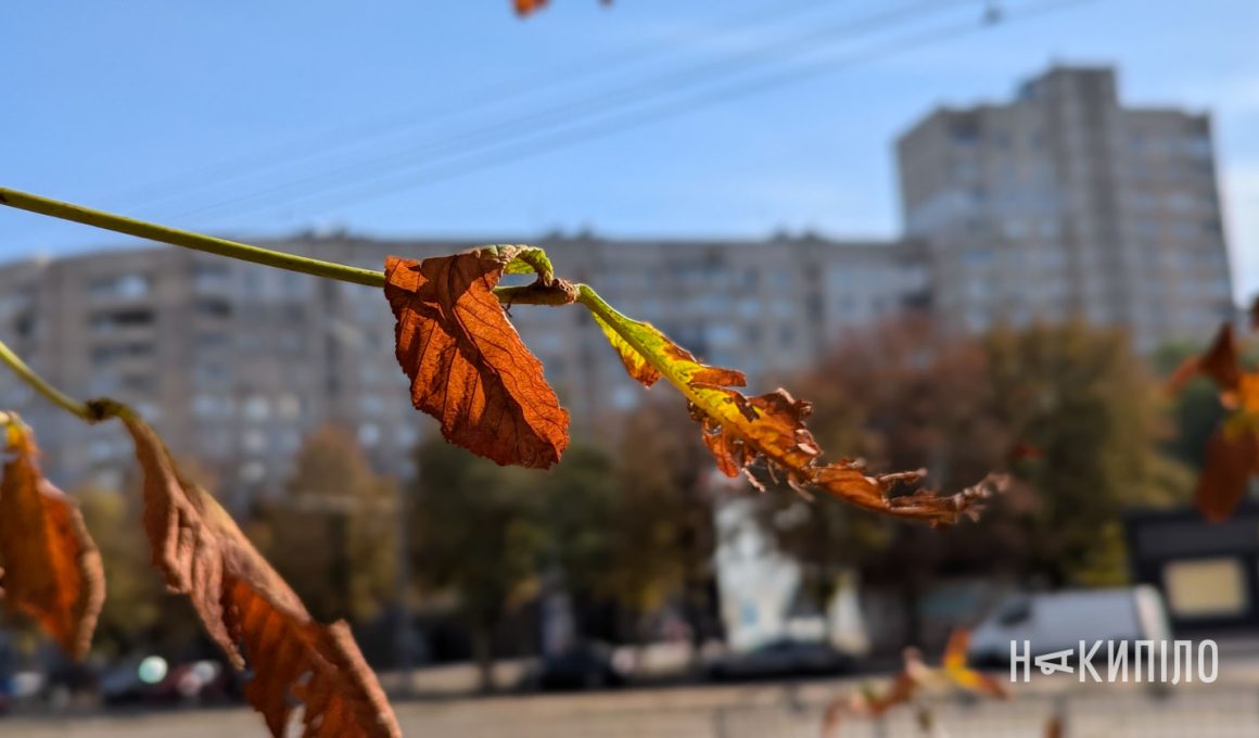 будівля дім погода світло темрява нічь парк центральний осінь місто Харків фото:Лептуга Ігор