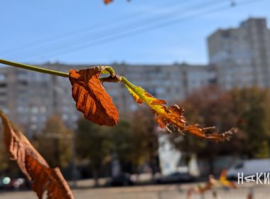будівля дім погода світло темрява нічь парк центральний осінь місто Харків фото:Лептуга Ігор