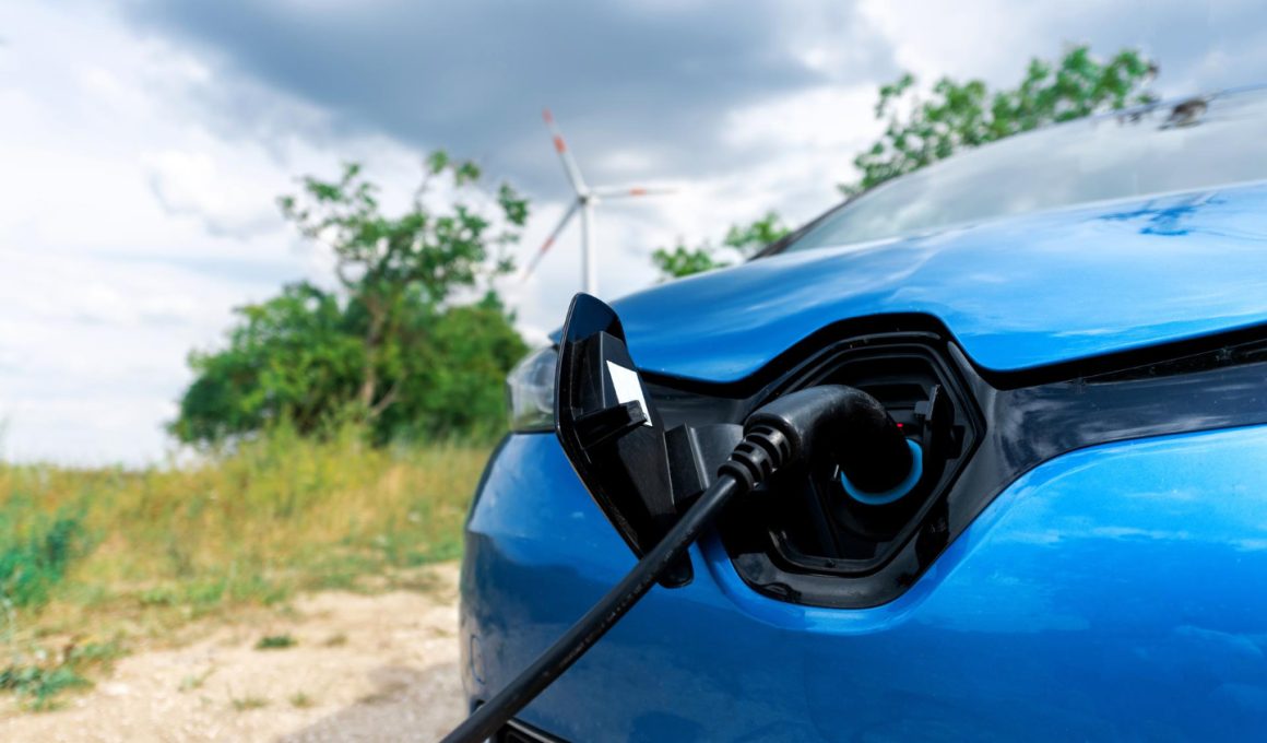 моделі представлені на AUTO.RIA у 2025 році