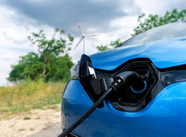 моделі представлені на AUTO.RIA у 2025 році