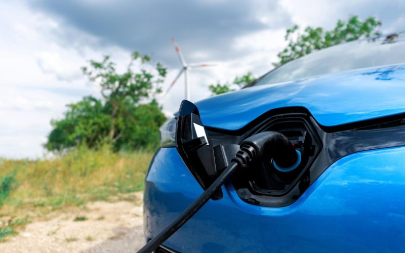 моделі представлені на AUTO.RIA у 2025 році