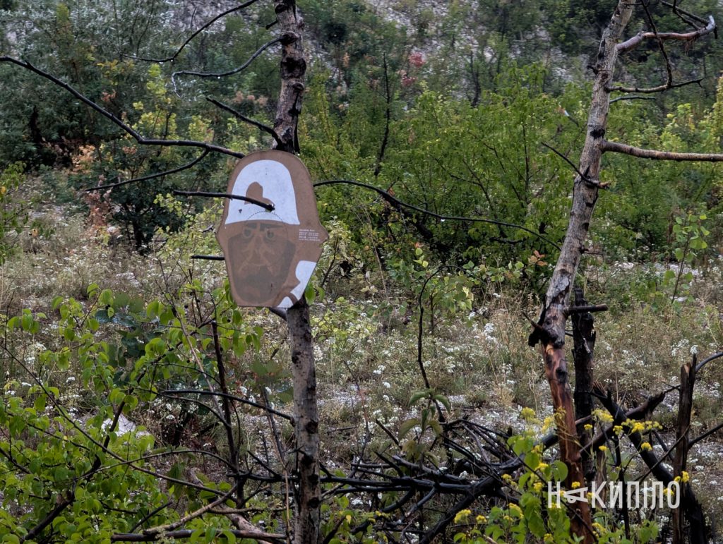 «Навчання рятує життя піхотинців»: інструктор зі Швеції про війну 12