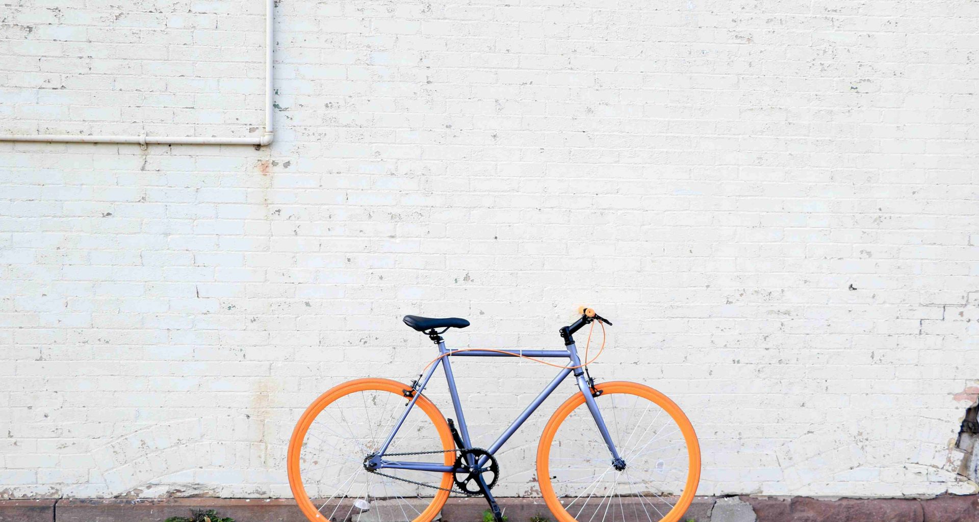 Tiffany Nutt. Unsplash.com