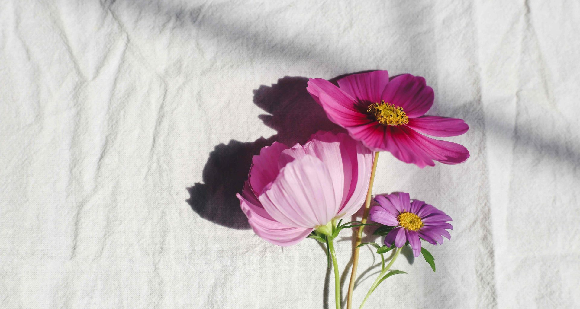 Kendall Scott. Unsplash.com