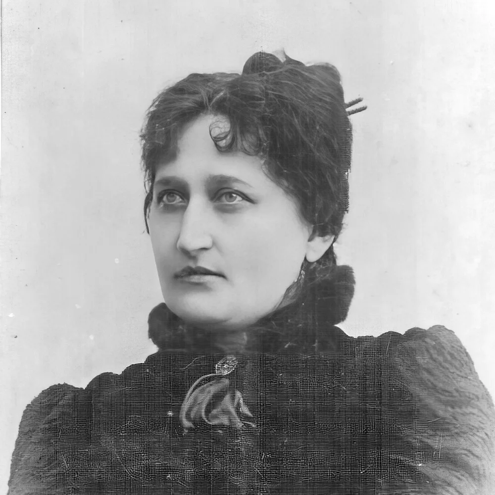 8 грудня — День українського жіночого руху: петиція 1