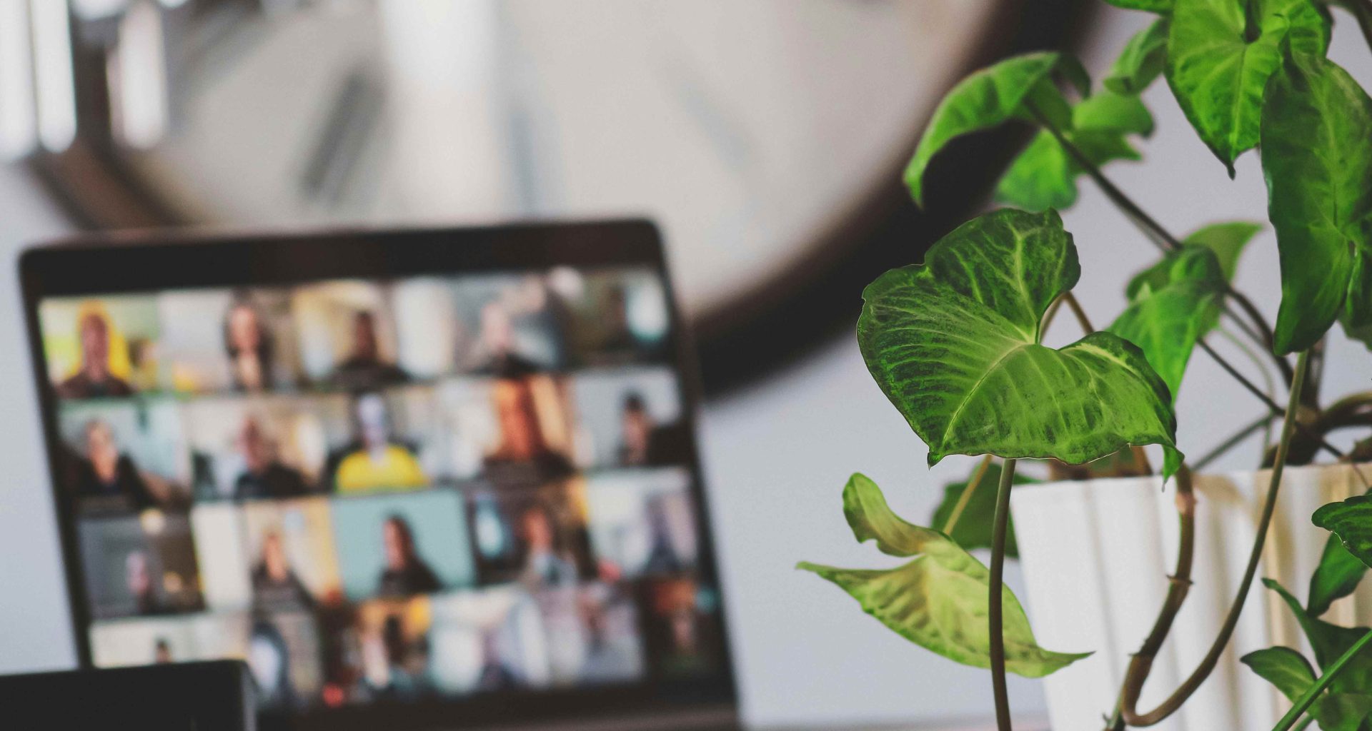 Sigmund. Unsplash.com