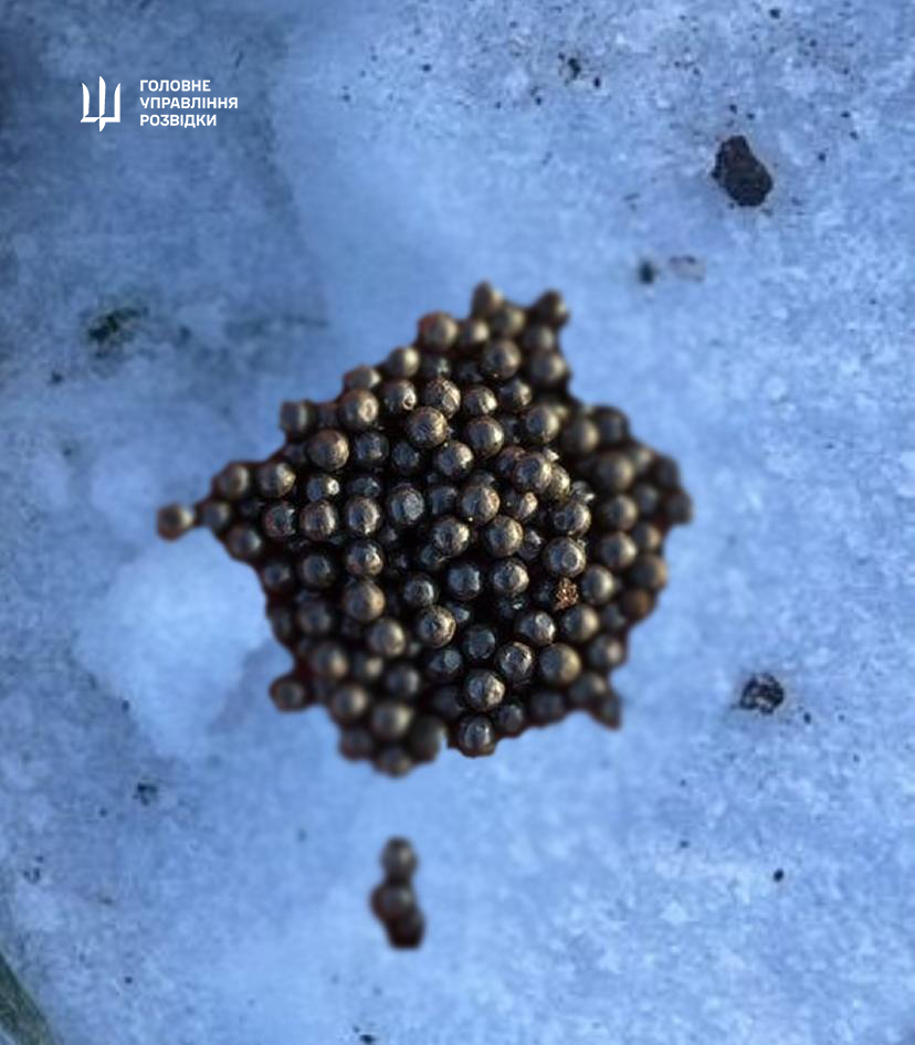 Перші удари БпЛА «Герань-5». Що відомо про безпілотники 4