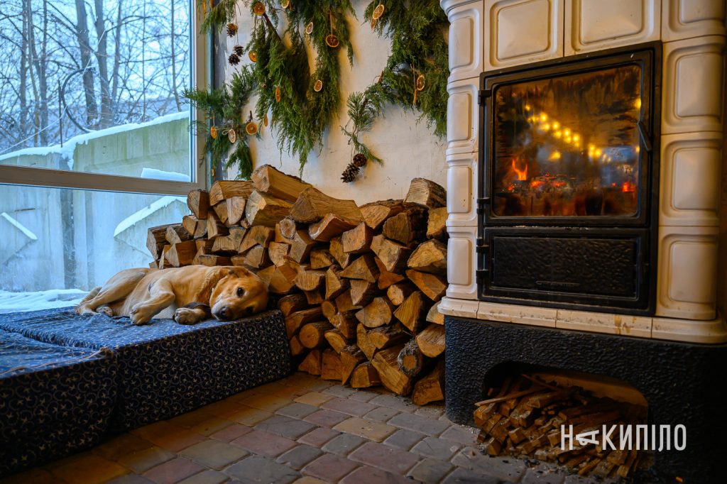 Атмосфера дому та якісний догляд: як живе прихисток «Велика родина» прихисток для літніх людей веплика родина, літні люди , впо, фото: Лептуга Ігор