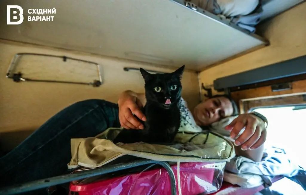 Евакуація під обстрілами: чому буває занадто пізно 4 Евакуація з Донеччини, потяг, жінка, кішка