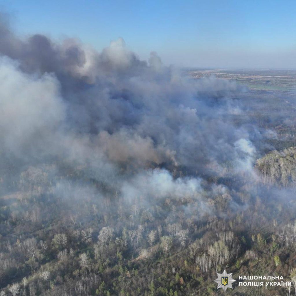 Недопалок призвів до лісової пожежі на Ізюмщині: підозрюють рибалку Недопалок призвів до лісової пожежі на Ізюмщині: підозрюють рибалку