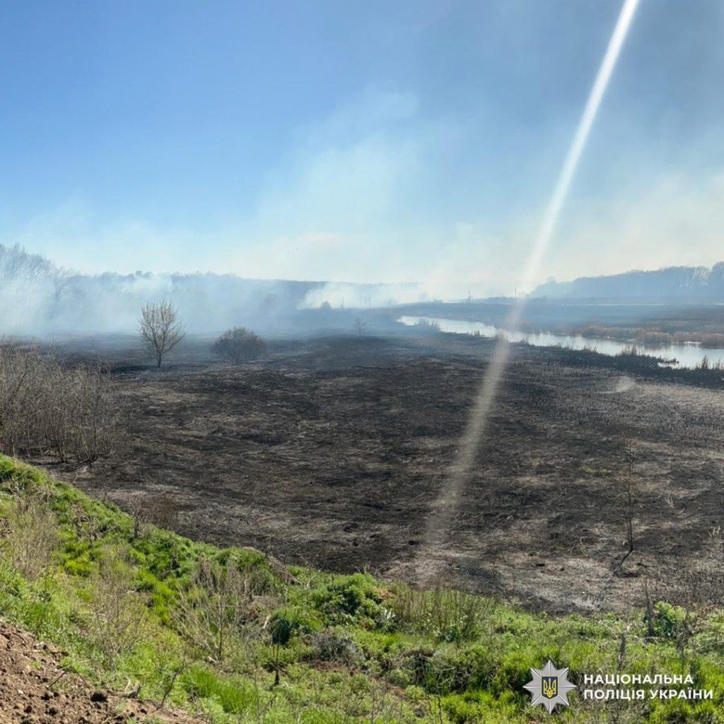 Недопалок призвів до лісової пожежі на Ізюмщині: підозрюють рибалку Недопалок призвів до лісової пожежі на Ізюмщині: підозрюють рибалку