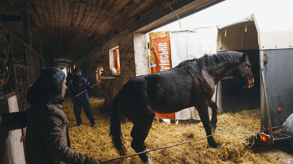 Як рятували коней з-під ворожих обстрілів евакуація коней на харківщині
