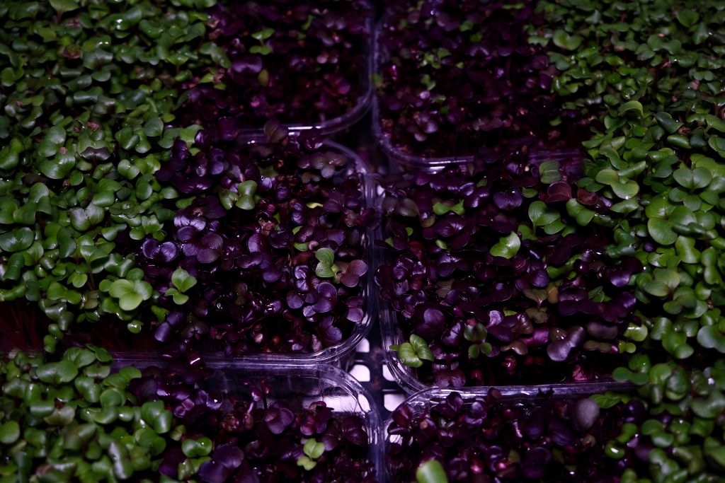 Бізнес, влада та міжнародні партнери: як у Харкові створюють модель економічної стійкості під час війни Бізнес, влада та міжнародні партнери: як у Харкові створюють модель економічної стійкості під час війни