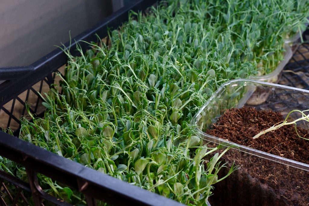 Бізнес, влада та міжнародні партнери: як у Харкові створюють модель економічної стійкості під час війни Бізнес, влада та міжнародні партнери: як у Харкові створюють модель економічної стійкості під час війни