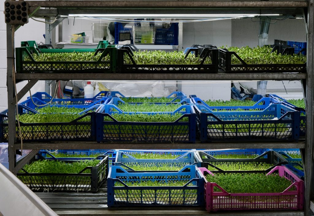 Бізнес, влада та міжнародні партнери: як у Харкові створюють модель економічної стійкості під час війни Бізнес, влада та міжнародні партнери: як у Харкові створюють модель економічної стійкості під час війни