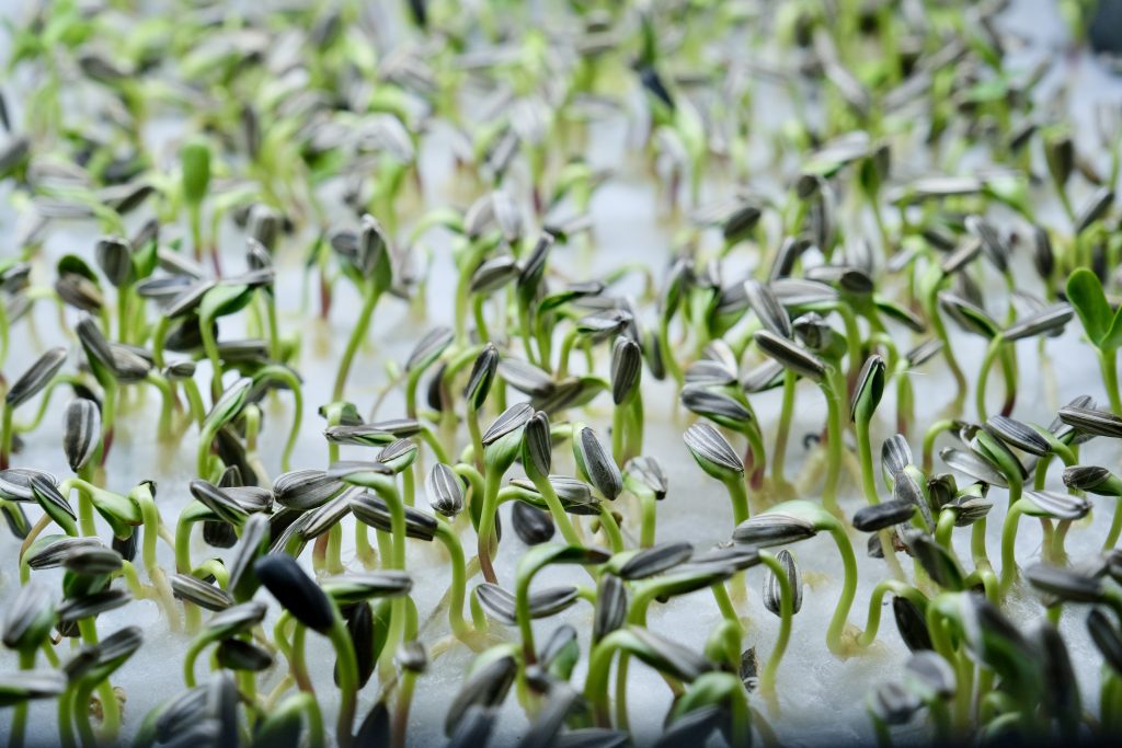 Бізнес, влада та міжнародні партнери: як у Харкові створюють модель економічної стійкості під час війни Бізнес, влада та міжнародні партнери: як у Харкові створюють модель економічної стійкості під час війни