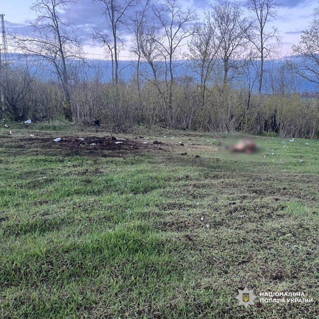 На Харківщині російські БпЛА вбили жінку та худобу На Харківщині російські БпЛА вбили жінку та худобу