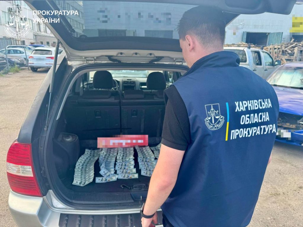 Автоблогерку, яку підозрюють у контрабанді авто, випустили під заставу Автоблогерку, яку підозрюють у контрабанді авто, випустили під заставу