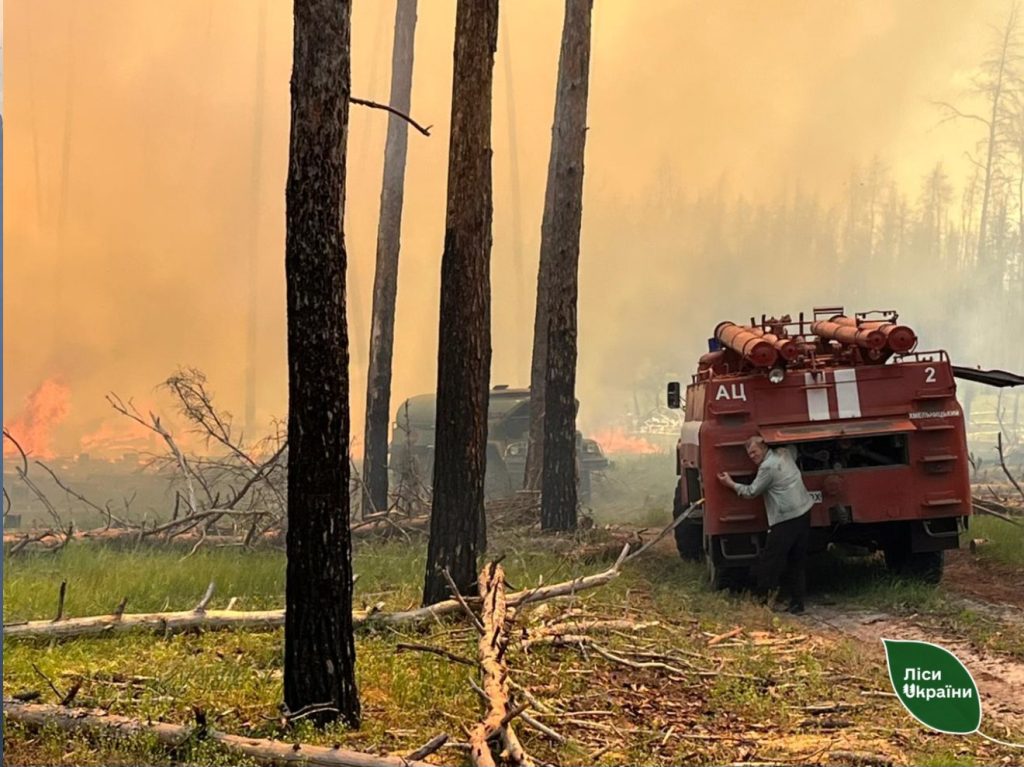 У лісах на Ізюмщині загасили дві великі пожежі
