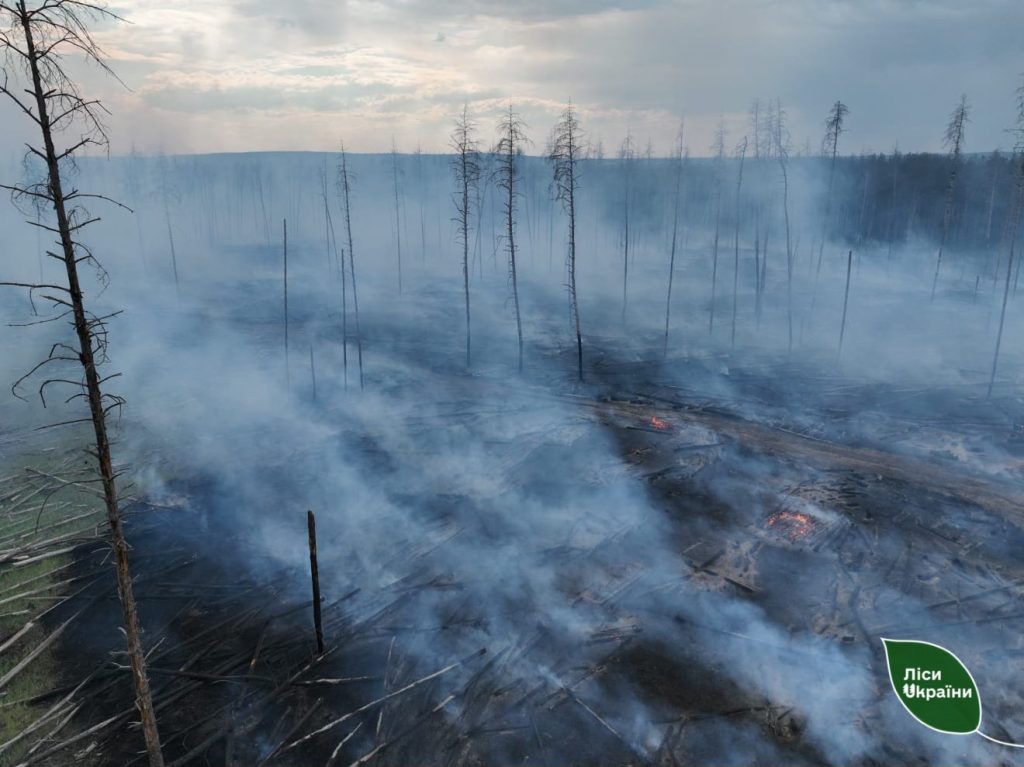 У лісах на Ізюмщині загасили дві великі пожежі У лісах на Ізюмщині загасили дві великі пожежі