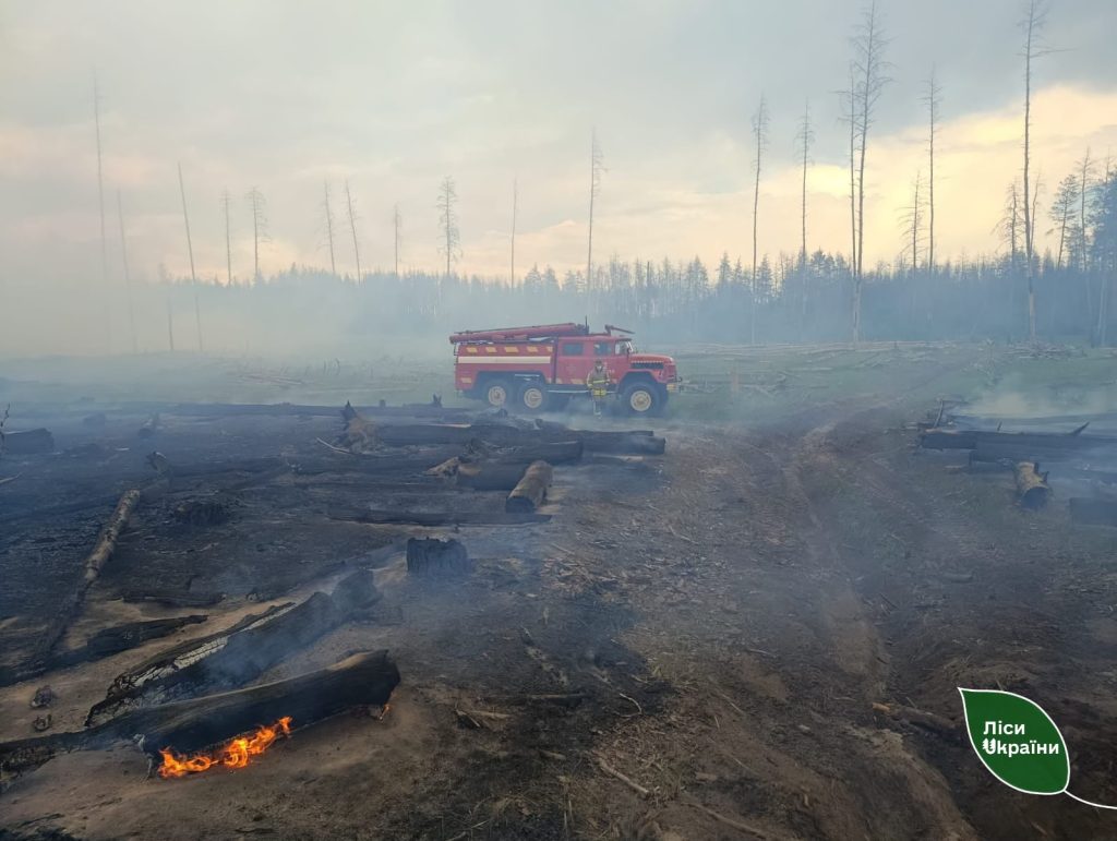 У лісах на Ізюмщині загасили дві великі пожежі У лісах на Ізюмщині загасили дві великі пожежі