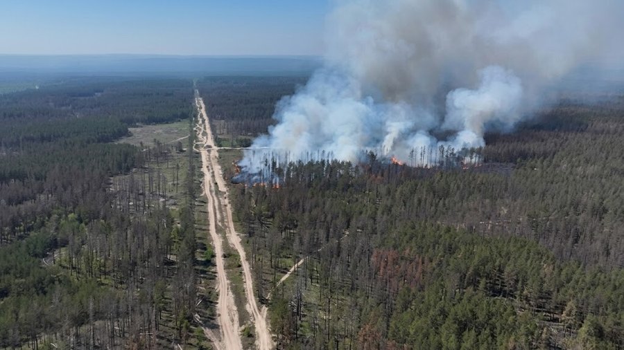 На Харківщині горить територія Артемівського лісництва горить ліс на Харківщині