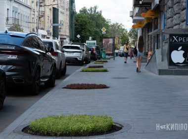 сумська, немає дерев