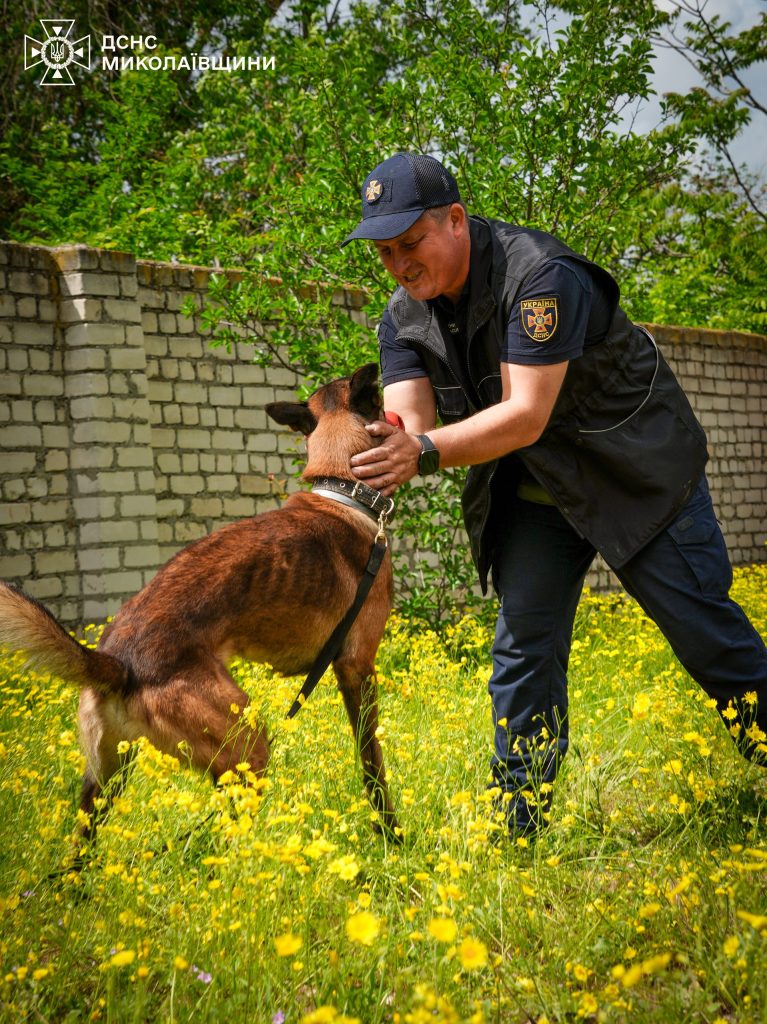 Як війна поєднує оборонців України з тваринами Як війна поєднує оборонців України з тваринами