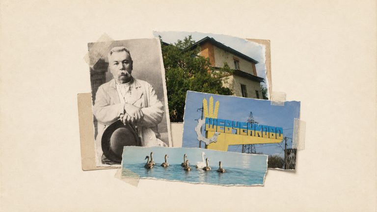 Шевченківська громада, колаж