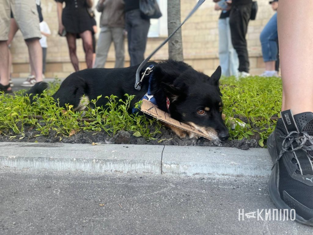 У Харкові не вщухають протести. Фото пʼятого дня У Харкові не вщухають протести. Фото пʼятого дня