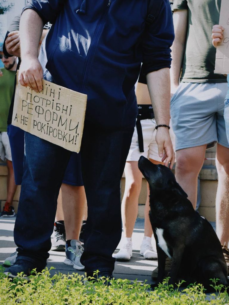 Чотирилапі протестувальники проти рішень ухвалених у Верховній Раді Чотирилапі протестувальники проти рішень ухвалених у Верховній Раді