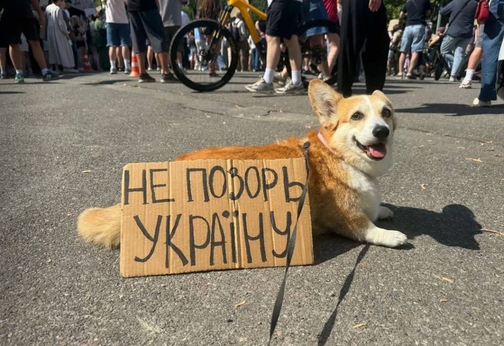 Чотирилапі протестувальники проти рішень ухвалених у Верховній Раді Чотирилапі протестувальники проти рішень ухвалених у Верховній Раді