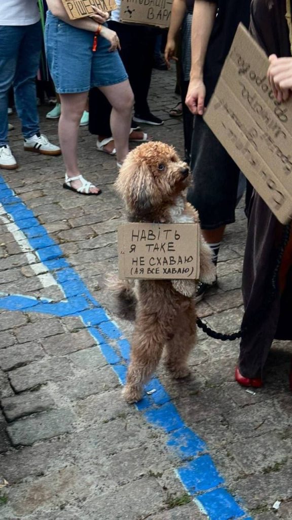 Чотирилапі протестувальники проти рішень ухвалених у Верховній Раді