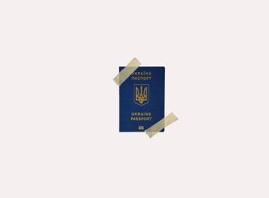 паспорт розбір